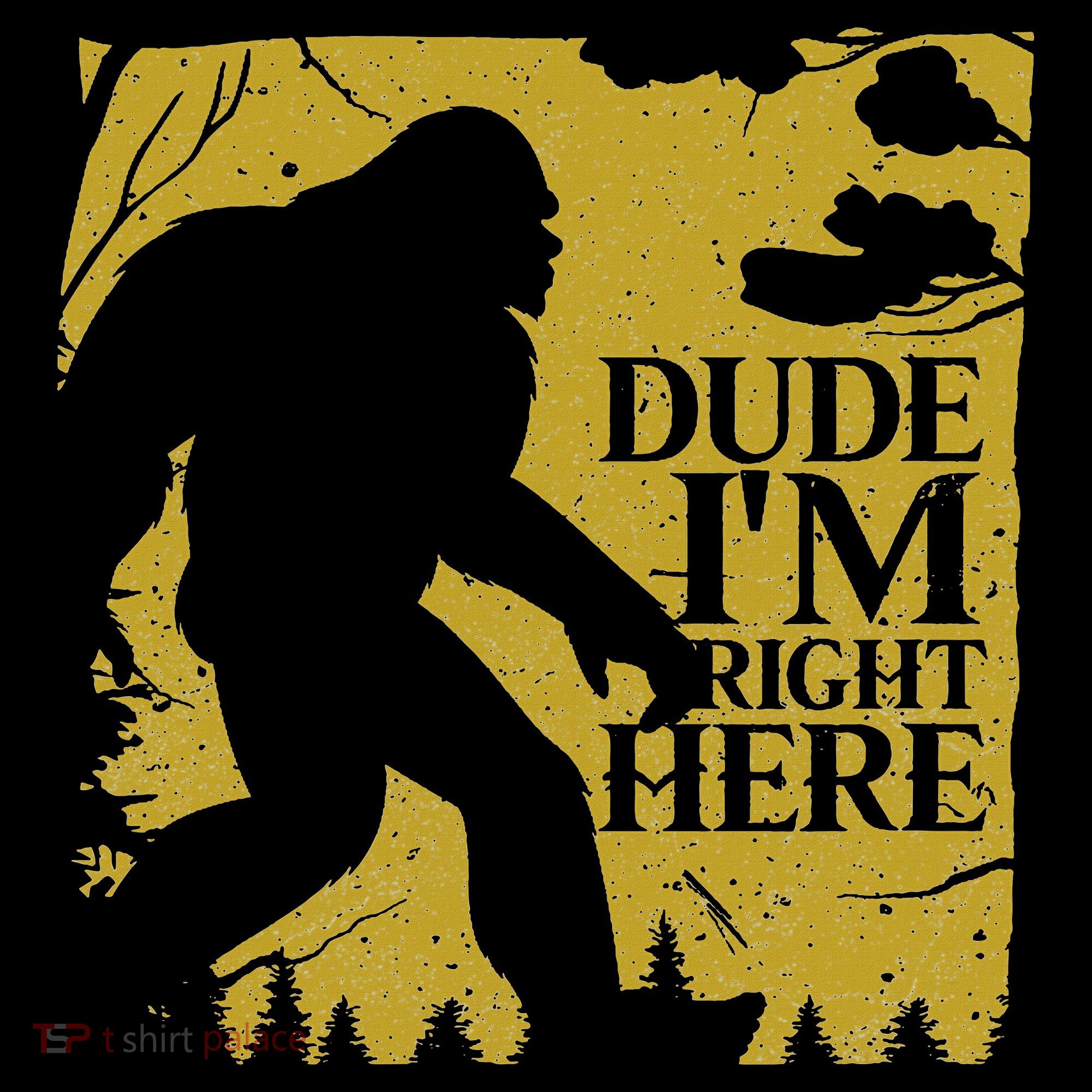 Dude I'm Right Here I Bigfoot Sasquatch Gift Women's Hoodie