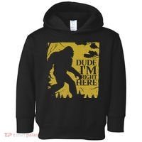 Dude I'm Right Here I Bigfoot Sasquatch Gift Toddler Hoodie thumb 0