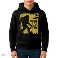 Dude I'm Right Here I Bigfoot Sasquatch Gift Kids Hoodie thumb 4