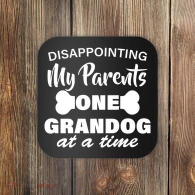 Disappointing My Parents One Grandog At A Time Coaster