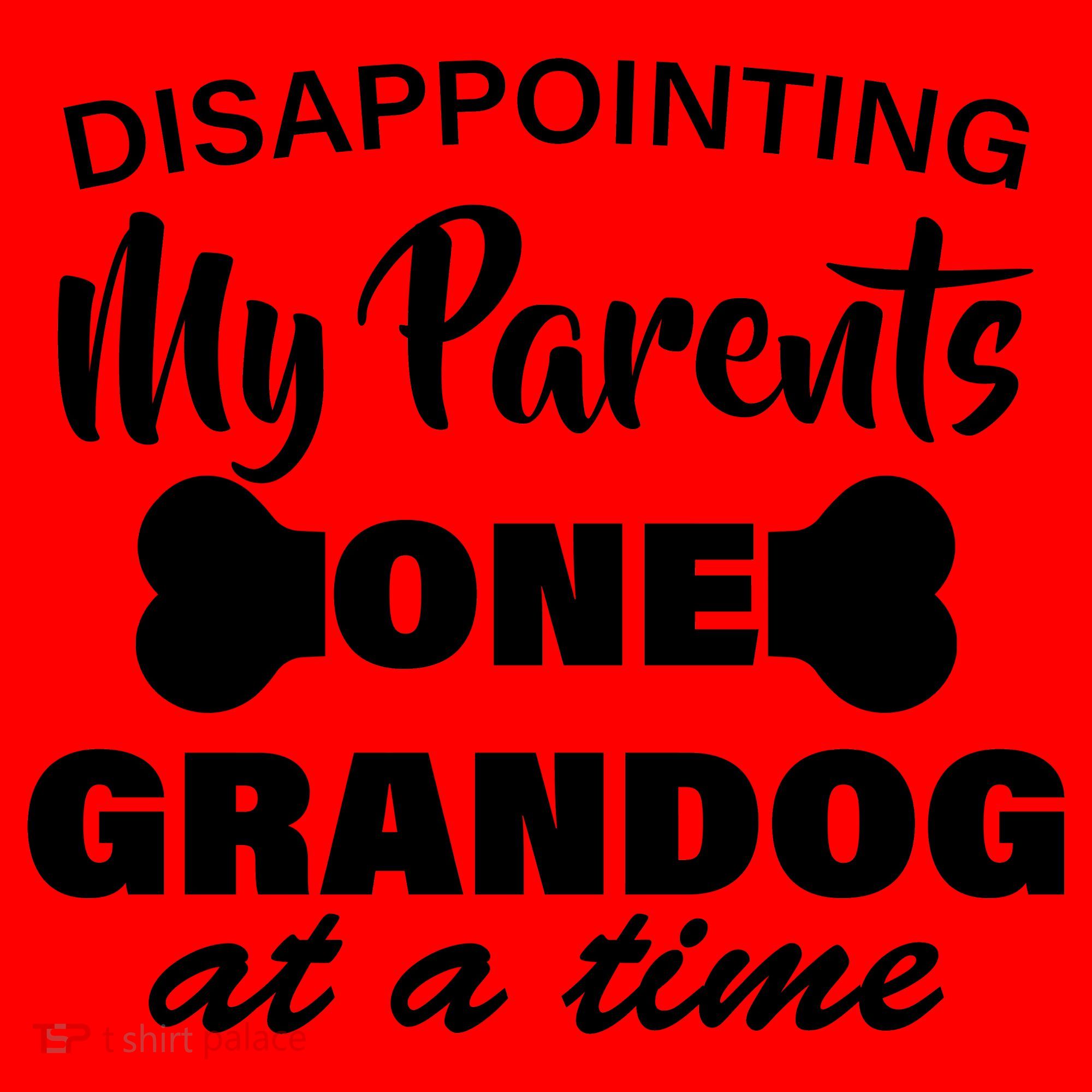 Disappointing My Parents One Grandog At A Time Santa Hat