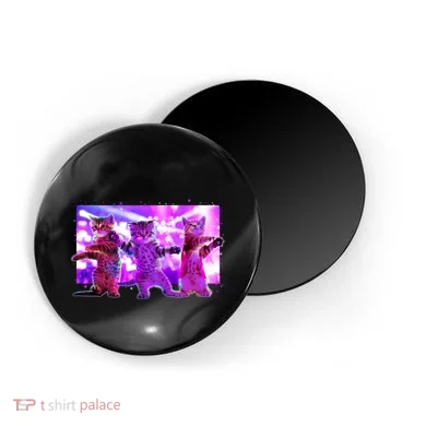 Magnet