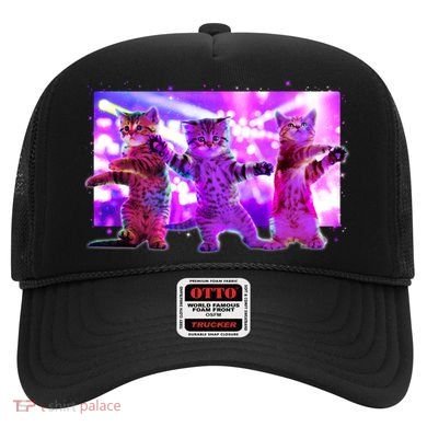 Disco Dance Party Cats Hat