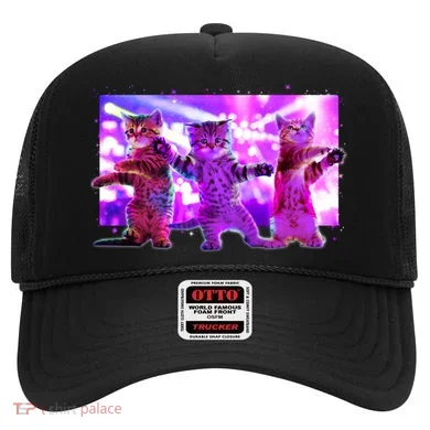 Disco Dance Party Cats Hat