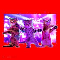 Disco Dance Party Cats Santa Hat thumb 1