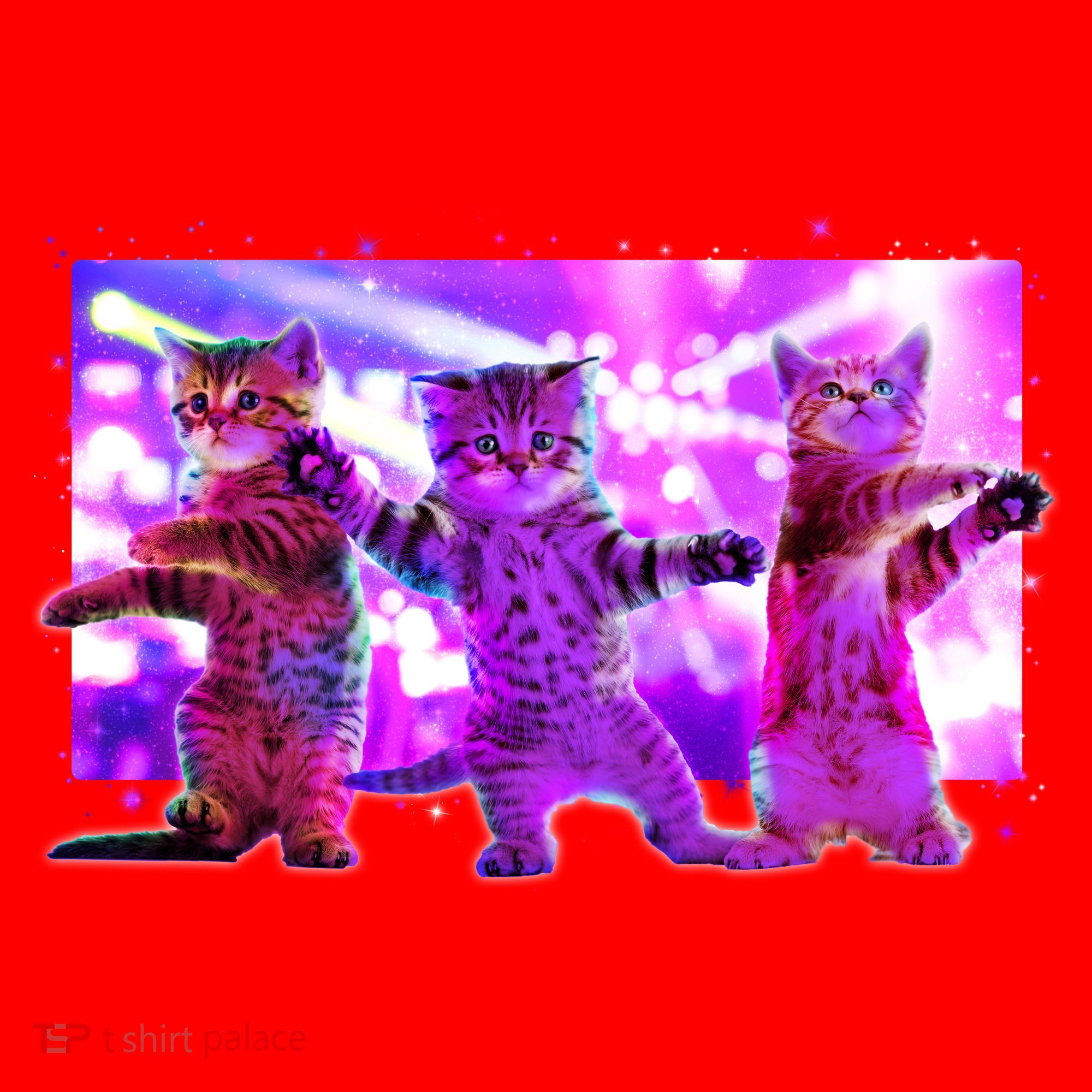 Disco Dance Party Cats Santa Hat