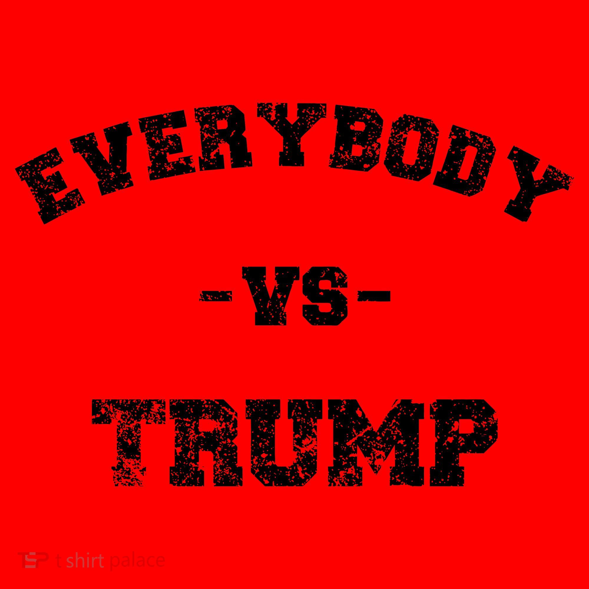 Distressed Everybody VS Trump Santa Hat