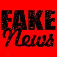 Distressed Fake News Logo Santa Hat thumb 1