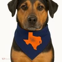 Distressed Houston Texas Baseball Fan USA-Made Doggie Bandana thumb 1