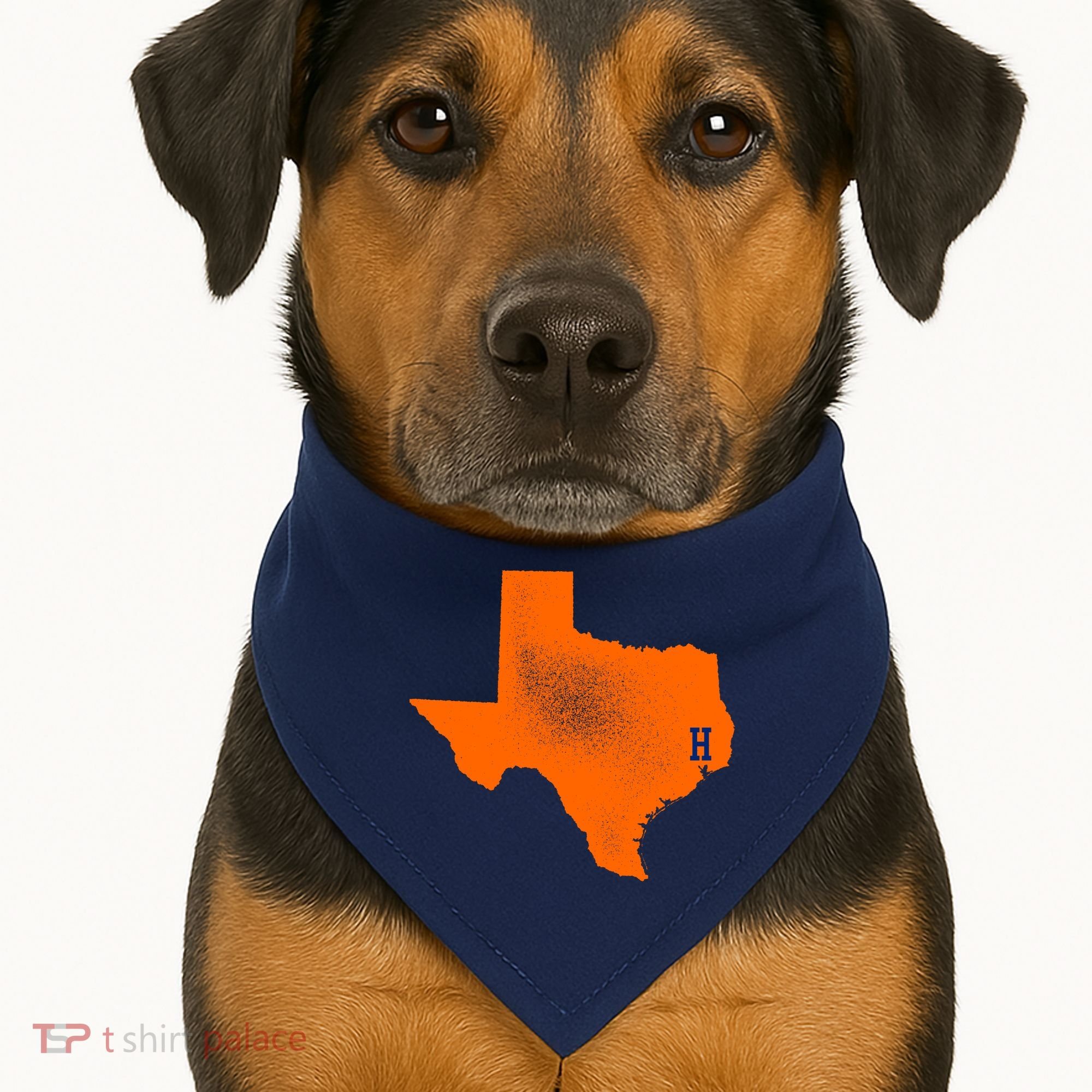 Distressed Houston Texas Baseball Fan USA-Made Doggie Bandana