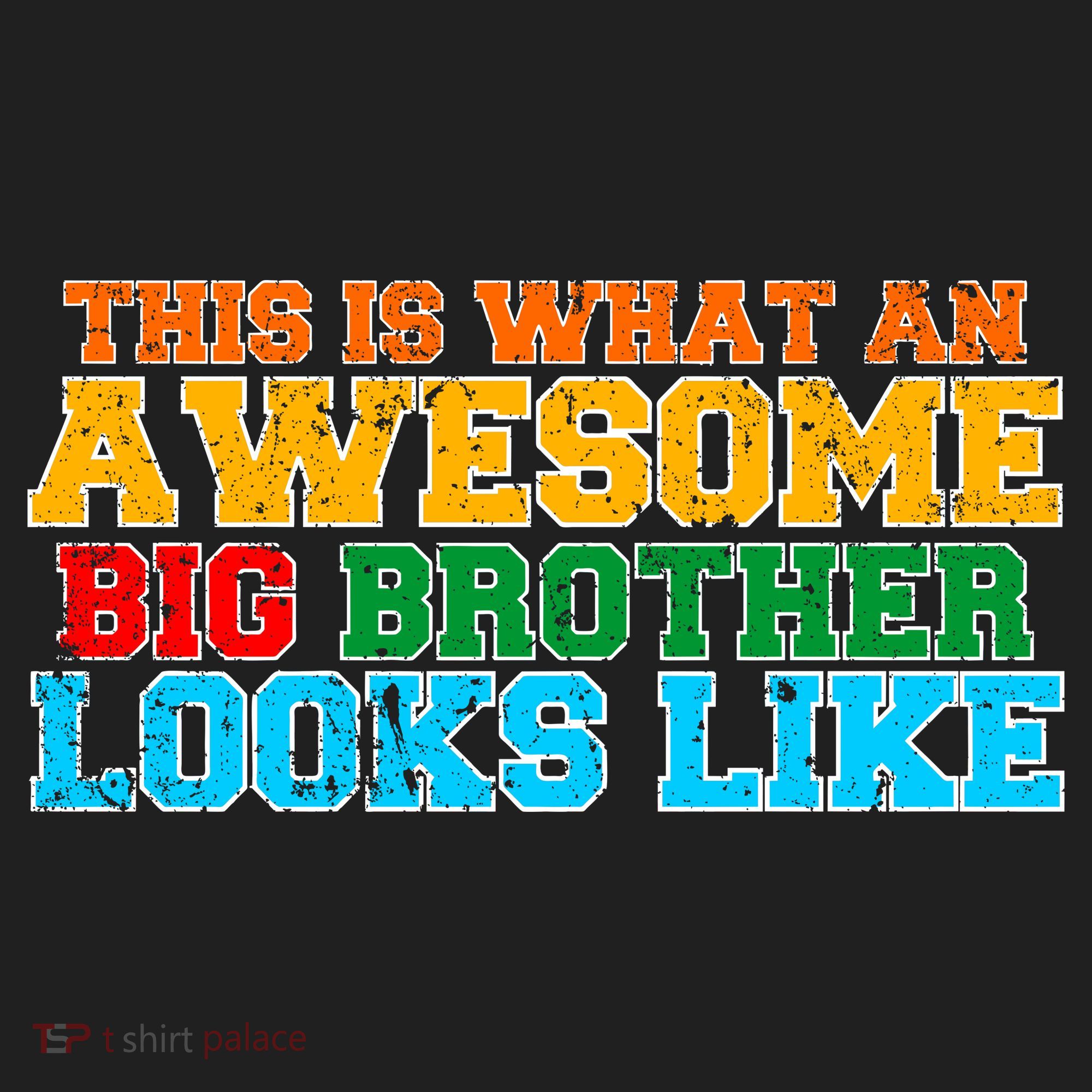 Distressed This is What an Awesome Big Brother Looks Like Women's Sweatshirt