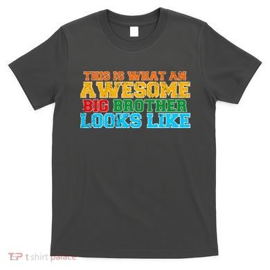 Distressed This is What an Awesome Big Brother Looks Like T-Shirt