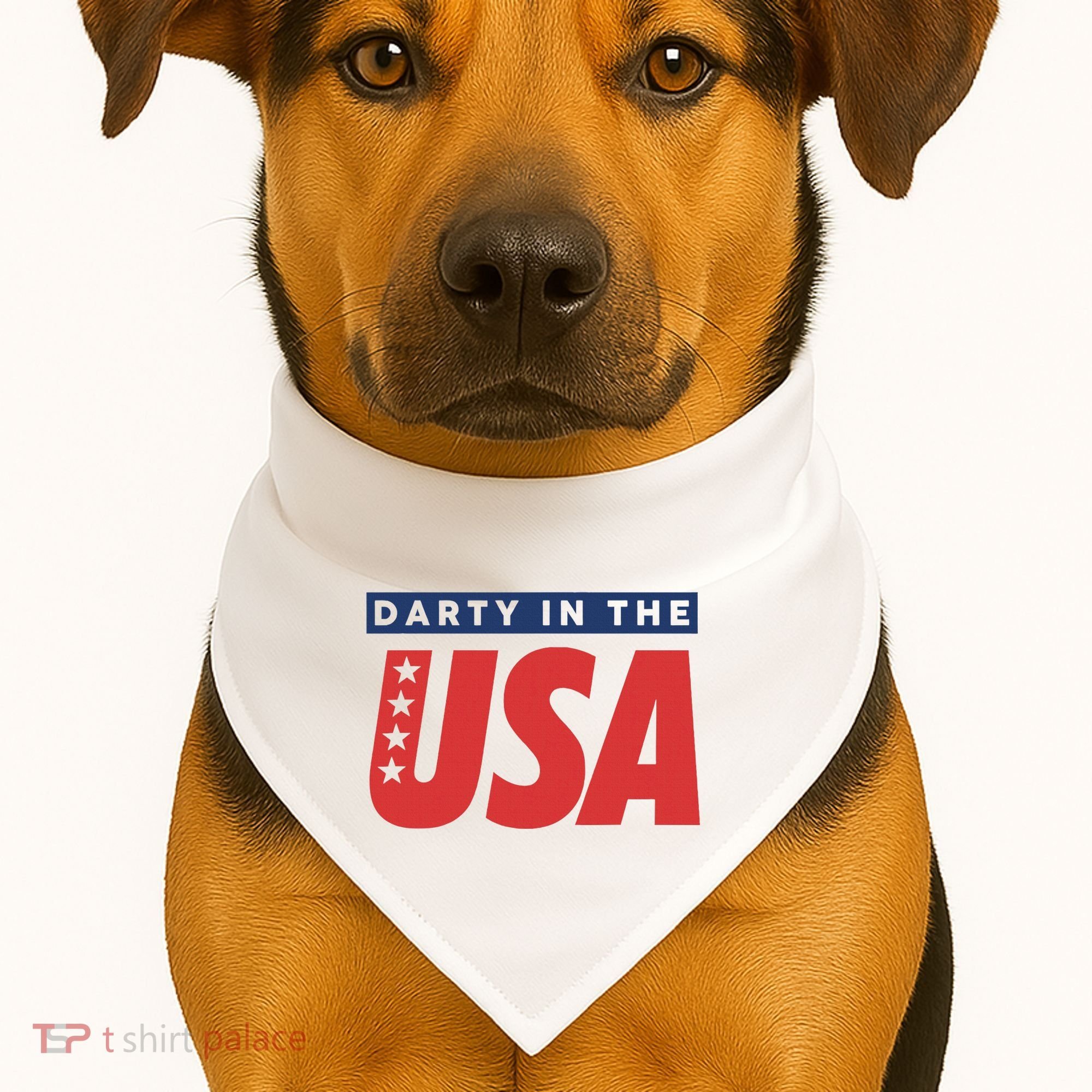 Darty In The Usa Independence Day USA-Made Doggie Bandana