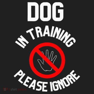 Dog In Training Please Ignore Women's Sweatshirt