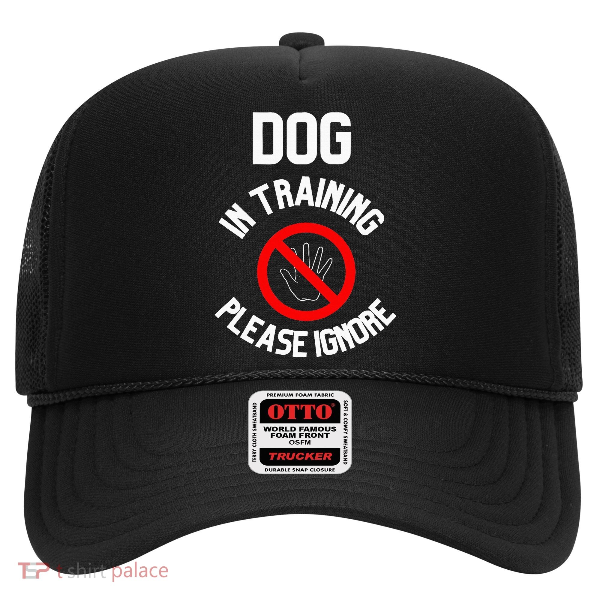 Dog In Training Please Ignore Hat