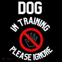 Dog In Training Please Ignore Kids Sweatshirt thumb 2