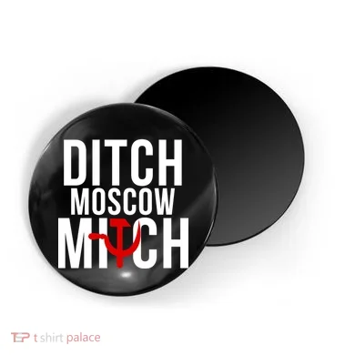 Magnet