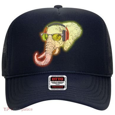 DJ Elephant Hat