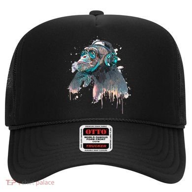 DJ Monkey Thinker Hipster Hat