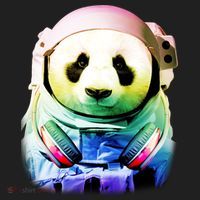 DJ Panda Astronaut Beanie thumb 2