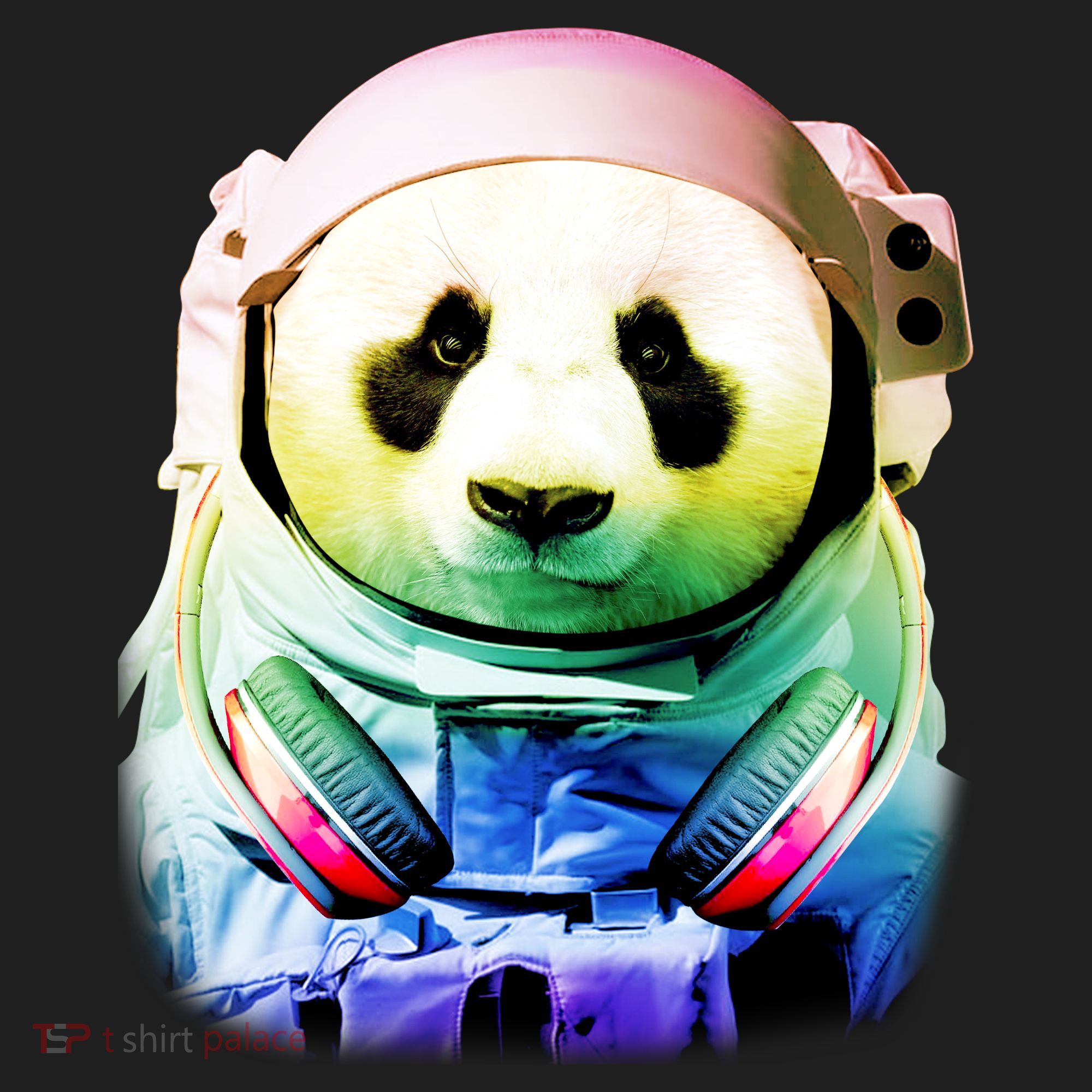DJ Panda Astronaut Beanie
