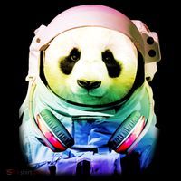 DJ Panda Astronaut Kids Sweatshirt thumb 2