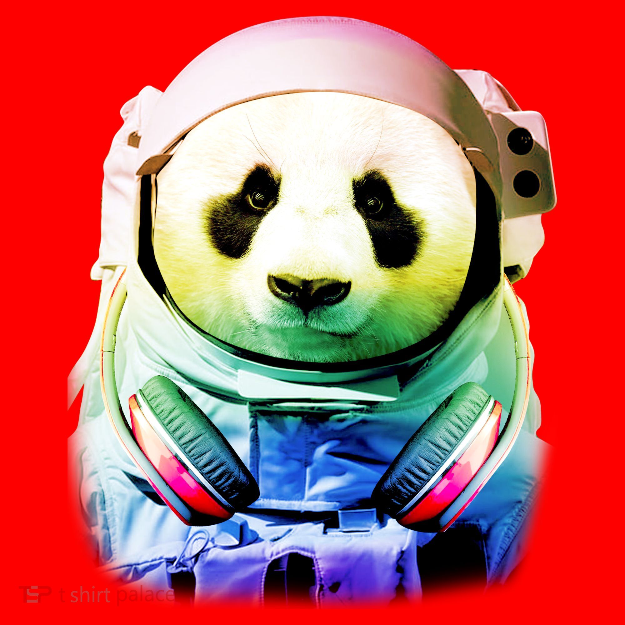 DJ Panda Astronaut Santa Hat