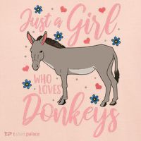 Donkey Just A Who Loves Donkeys Funny Donkey Lover Gift Women's Sweatshirt thumb 2