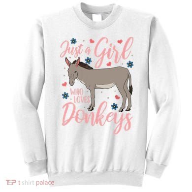Donkey Just A Who Loves Donkeys Funny Donkey Lover Gift Sweatshirt