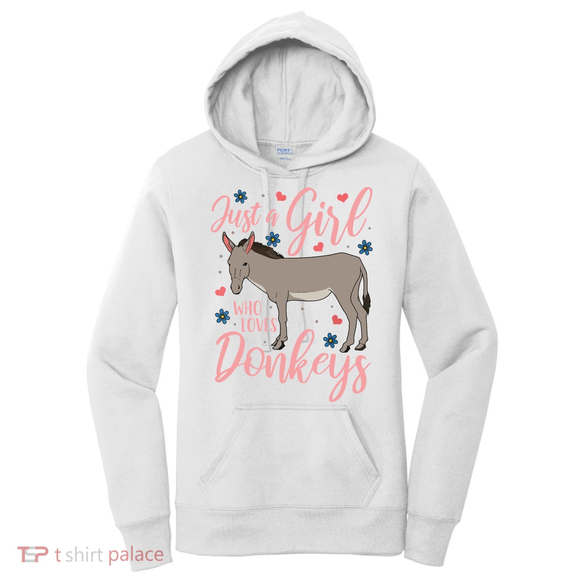 Donkey Just A Who Loves Donkeys Funny Donkey Lover Gift Women's Hoodie
