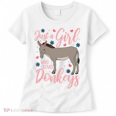 Donkey Just A Who Loves Donkeys Funny Donkey Lover Gift Women's T-Shirt