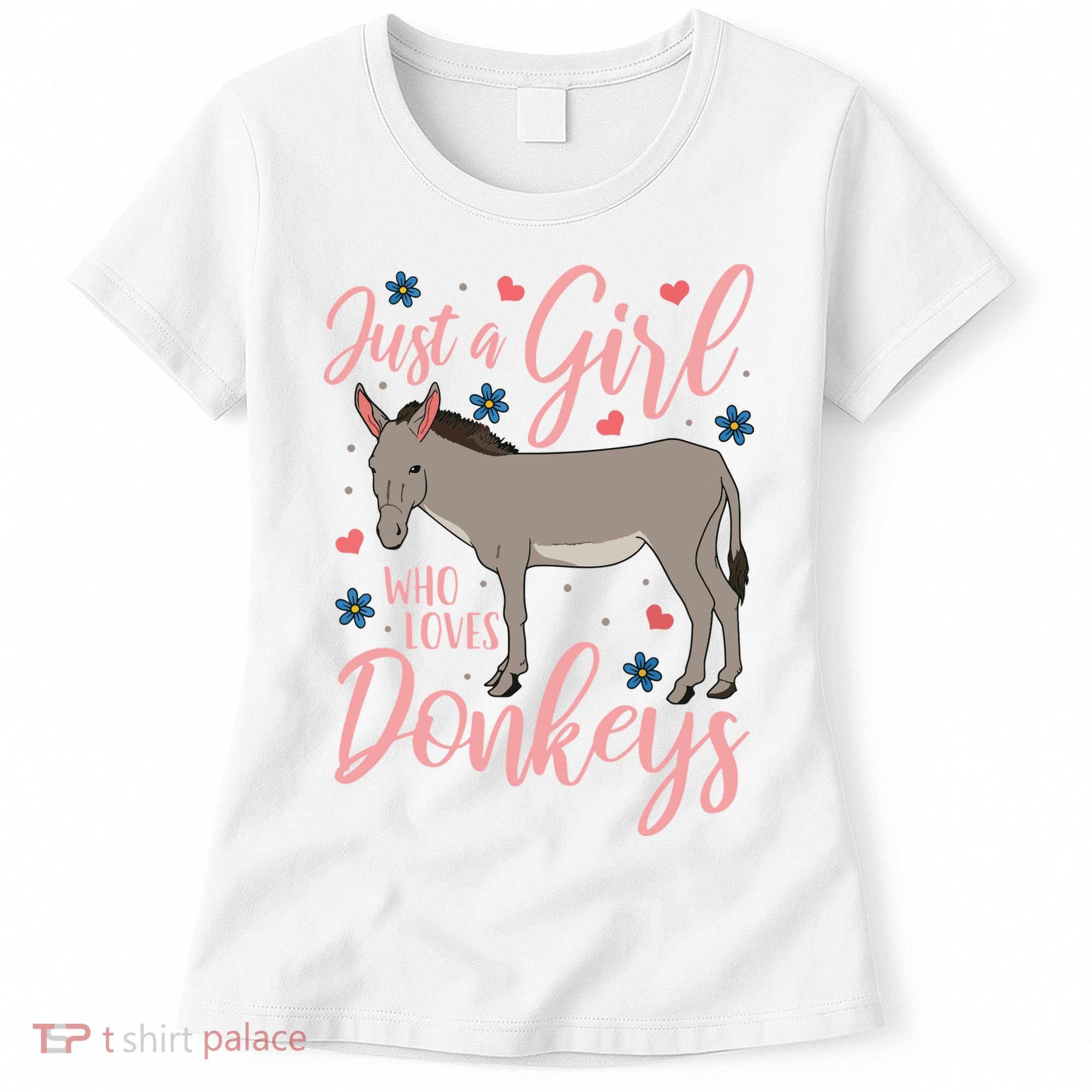 Donkey Just A Who Loves Donkeys Funny Donkey Lover Gift Women's T-Shirt