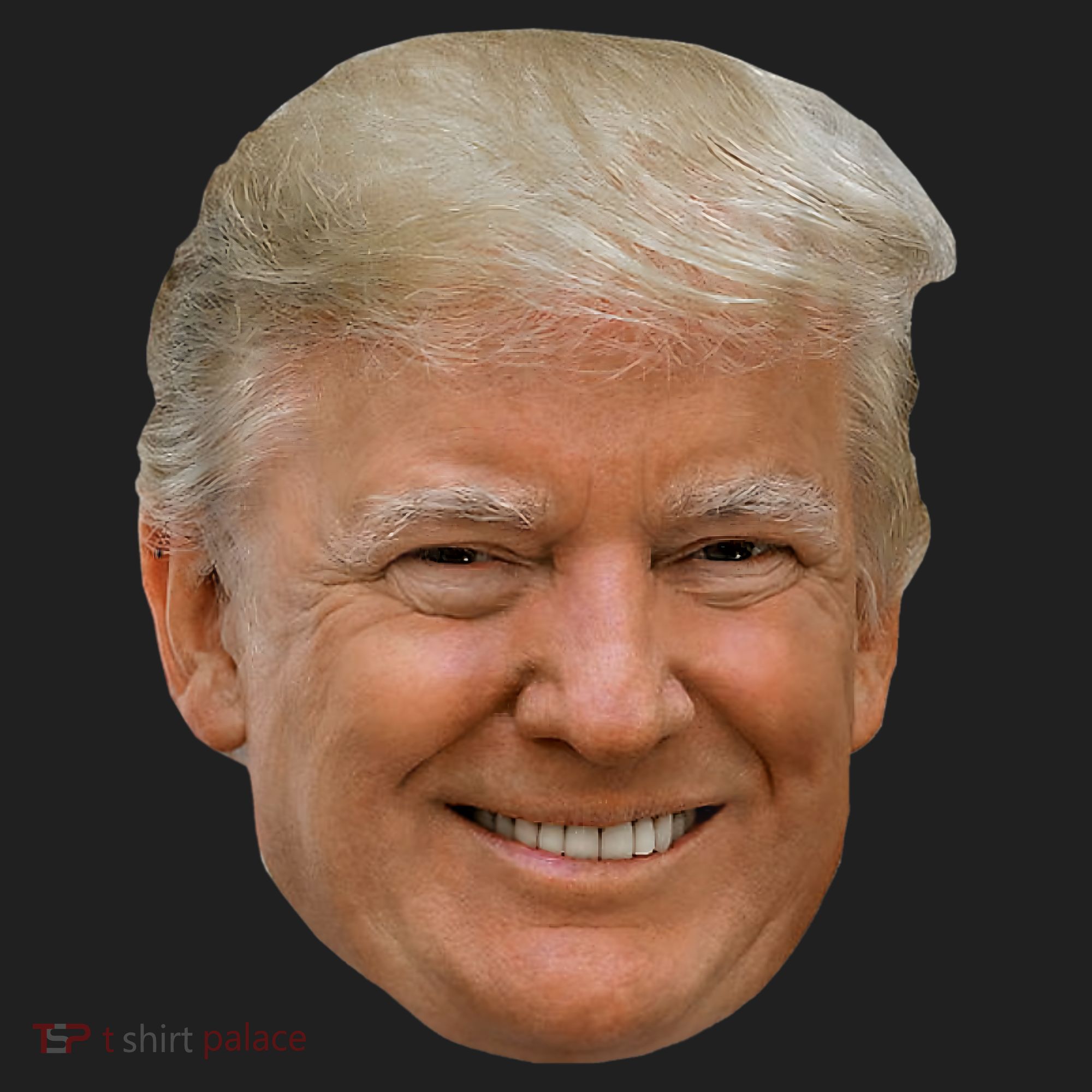 Donald J Trump The President's Face On A Meme Beanie