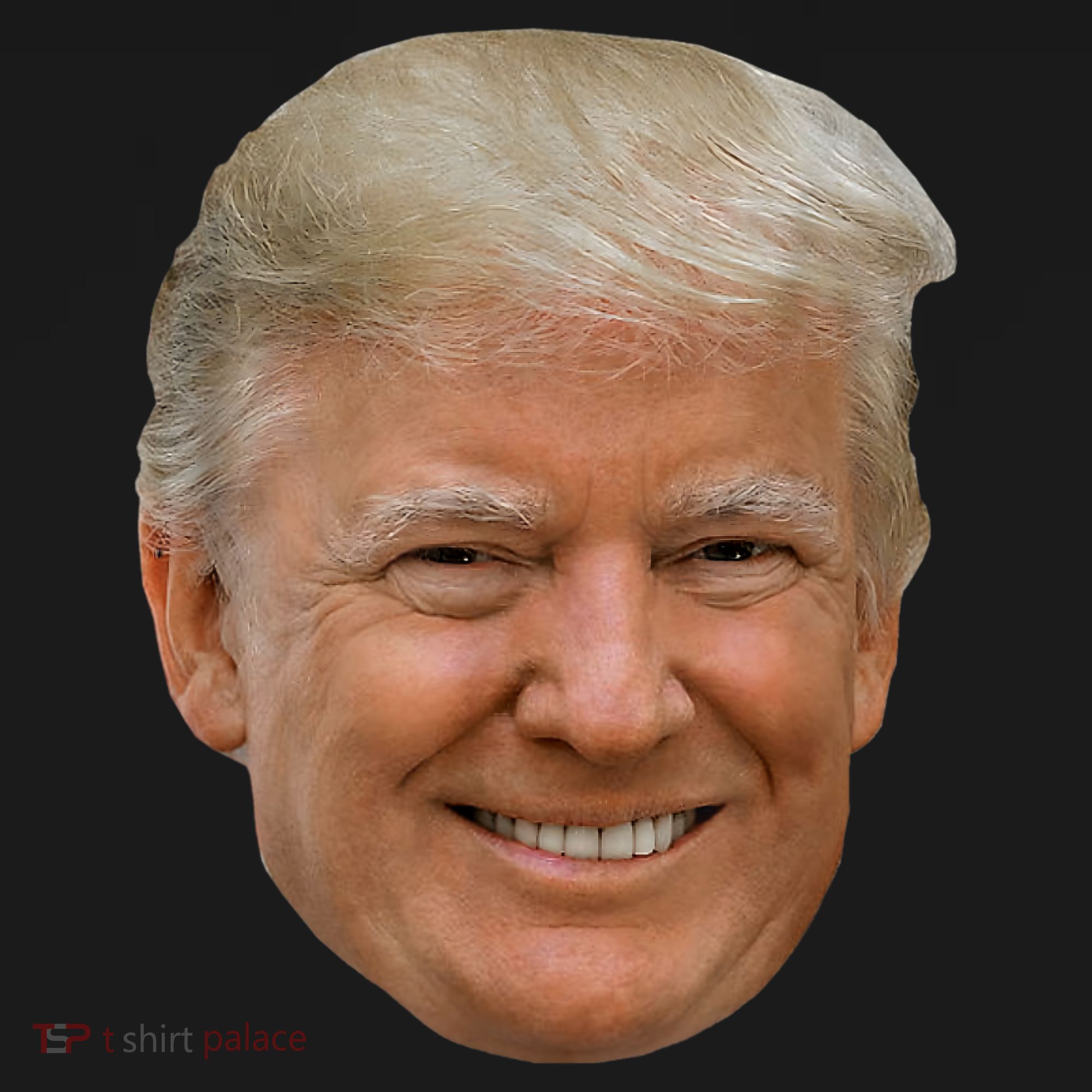 Donald J Trump The President's Face On A Meme Women's Hoodie