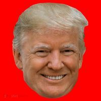 Donald J Trump The President's Face On A Meme Santa Hat thumb 1