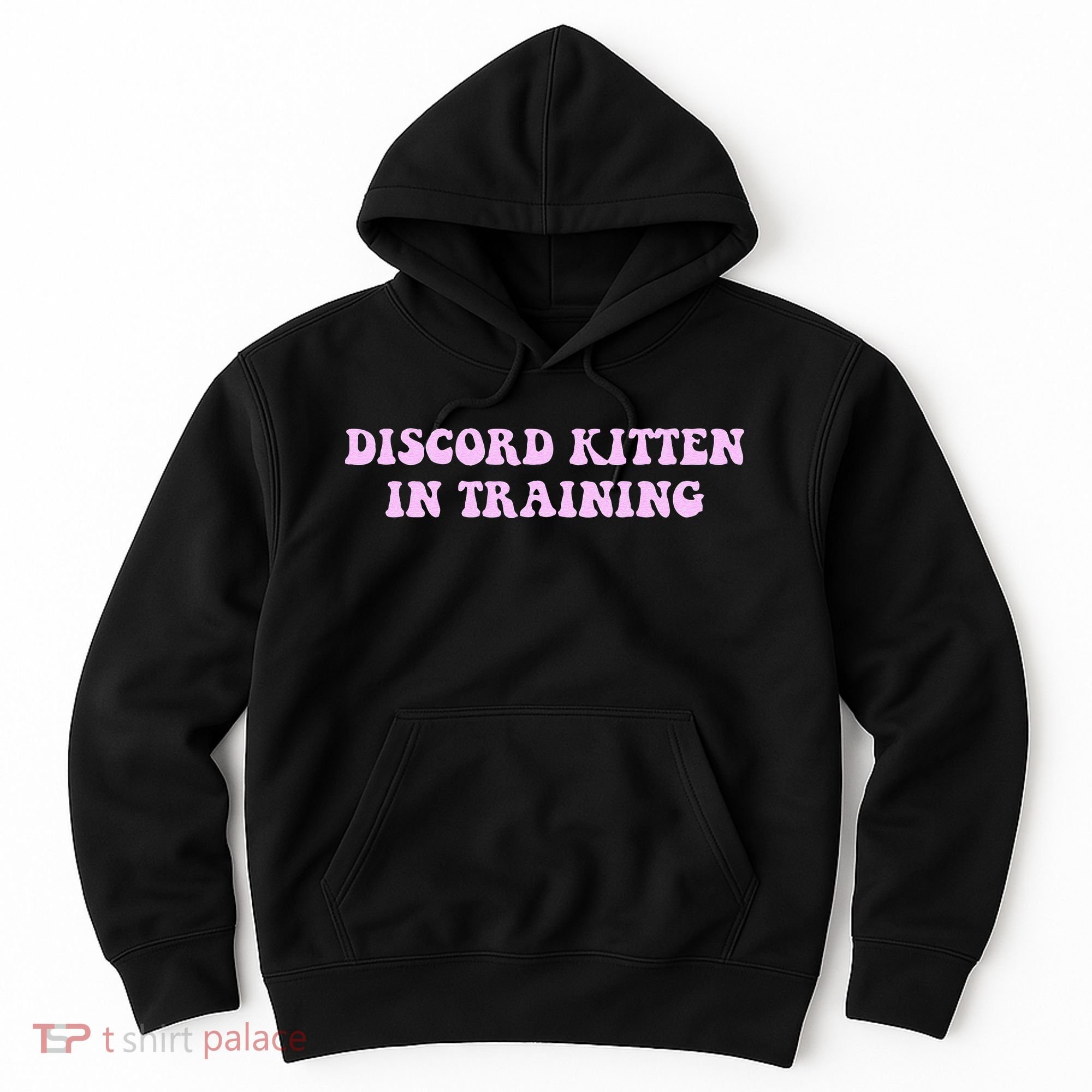 Discord Kitten In Training Apparel Hoodie