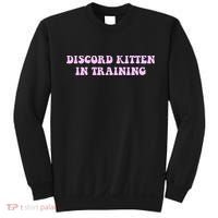 Discord Kitten In Training Apparel Sweatshirt thumb 0