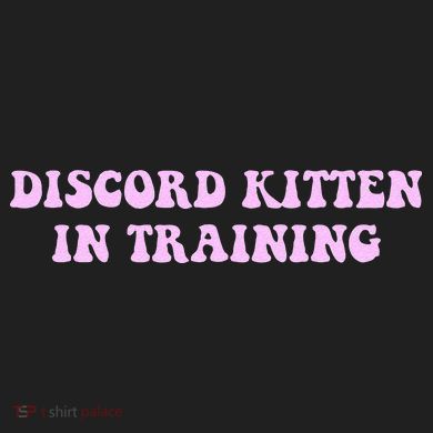 Discord Kitten In Training Apparel District V.I.T. Heavyweight Hoodie