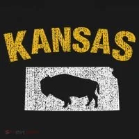 Distressed Kansas State And Buffalo Bison Toddler Hoodie thumb 2