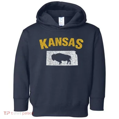 Toddler Hoodie