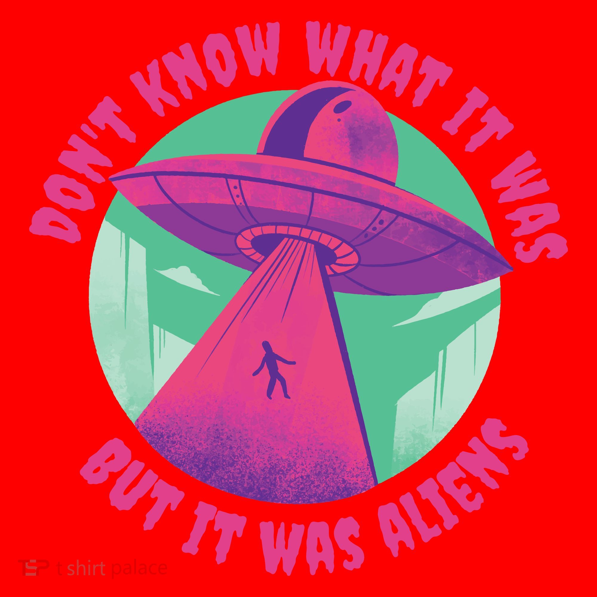 Don't Know What It Was But It Was Aliens Santa Hat