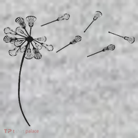 Dandelion Lacrosse And Lax Accessories Lacrosse Mom The Baniff Cuffed Pom Beanie thumb 2