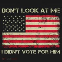 DonT Look At Me I DidnT Vote For Him Funny Us Flag Retro Women's Hoodie thumb 2