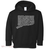Drink Local Connecticut Breweries Toddler Hoodie thumb 0