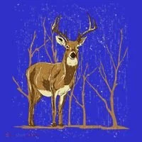 Deer Lover Deer Great Gift Women's T-Shirt thumb 6