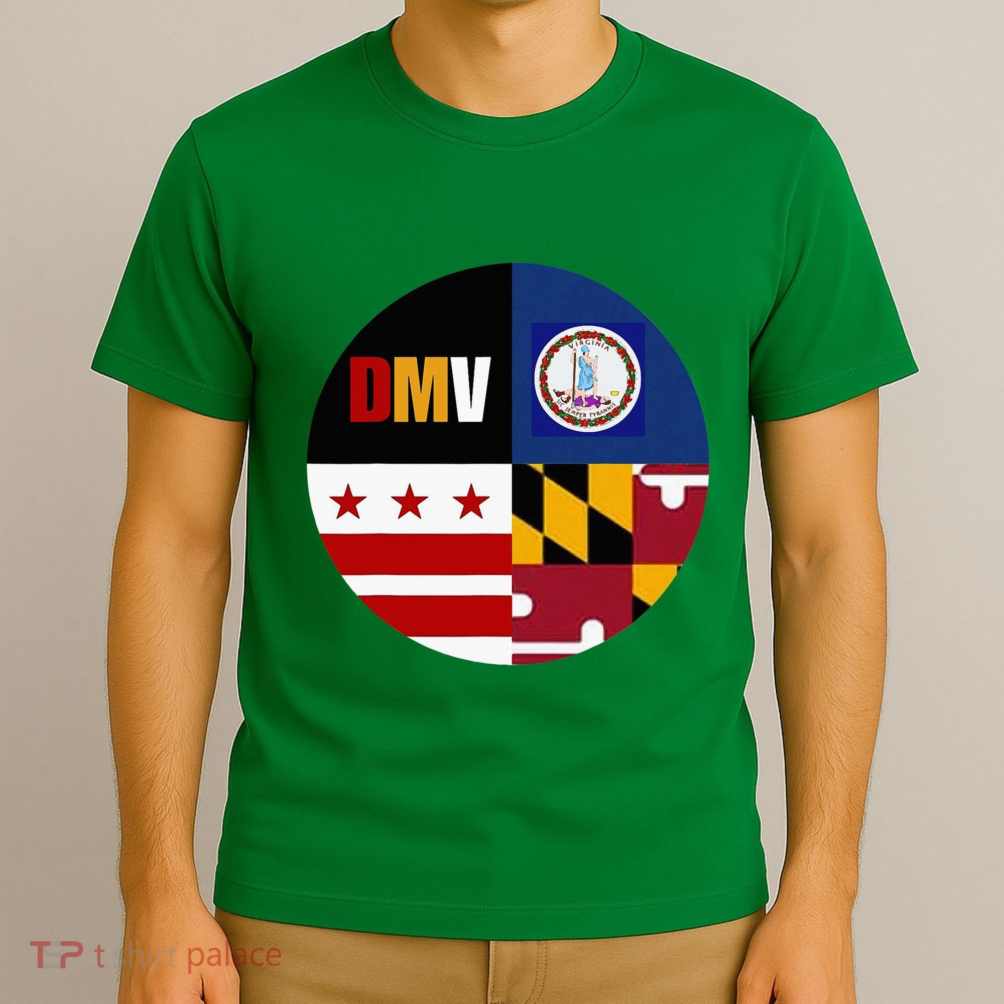 Dmv Love Embrace The Capital Region T-Shirt