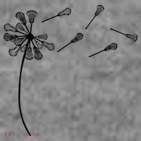 Dandelion Lacrosse for Lacrosse Player Toddler Hoodie thumb 2