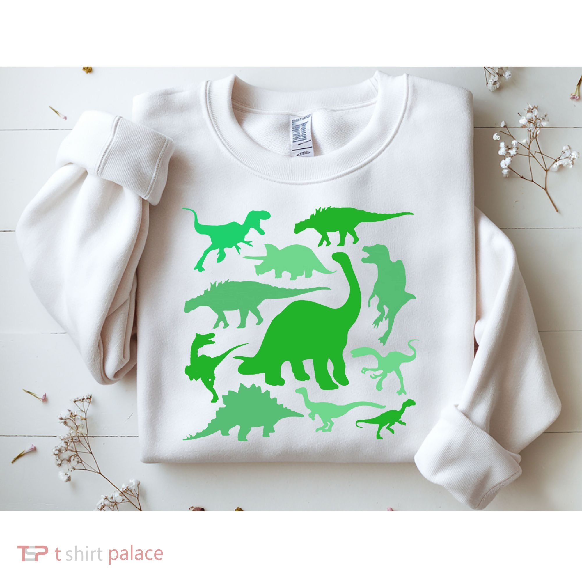 Dinosaur Lover Gift Sweatshirt