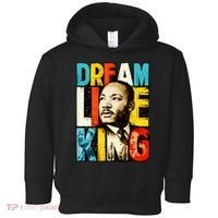 Dream Like King Black History Month Martin Luther King Day Toddler Hoodie thumb 0