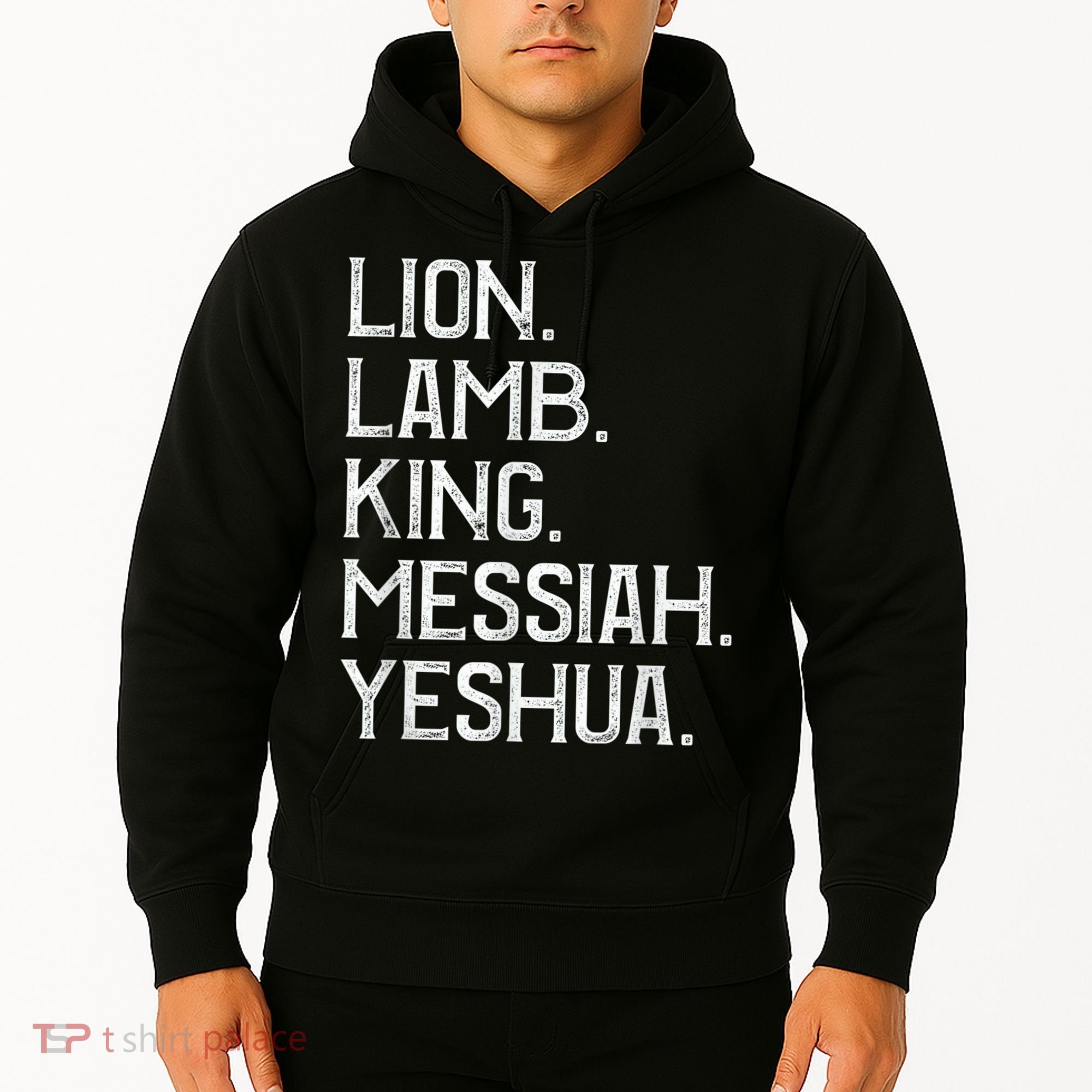 Distressed Lion Lamb King Messiah Yeshua Christian Bible Hoodie